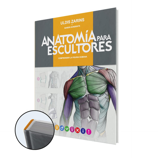 Anatomía Para Escultores: Comprender la Figura Humana