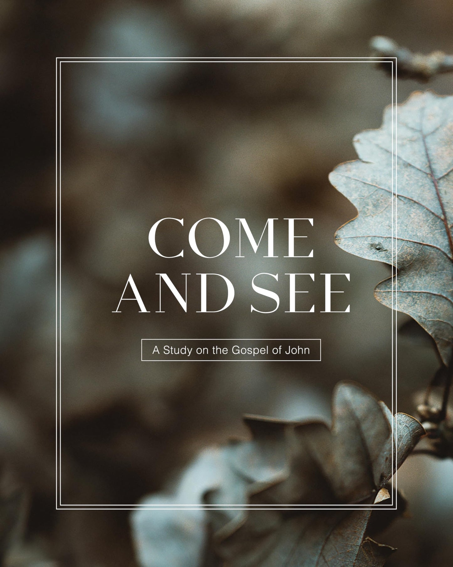 Come and See - John Bible Study - Men