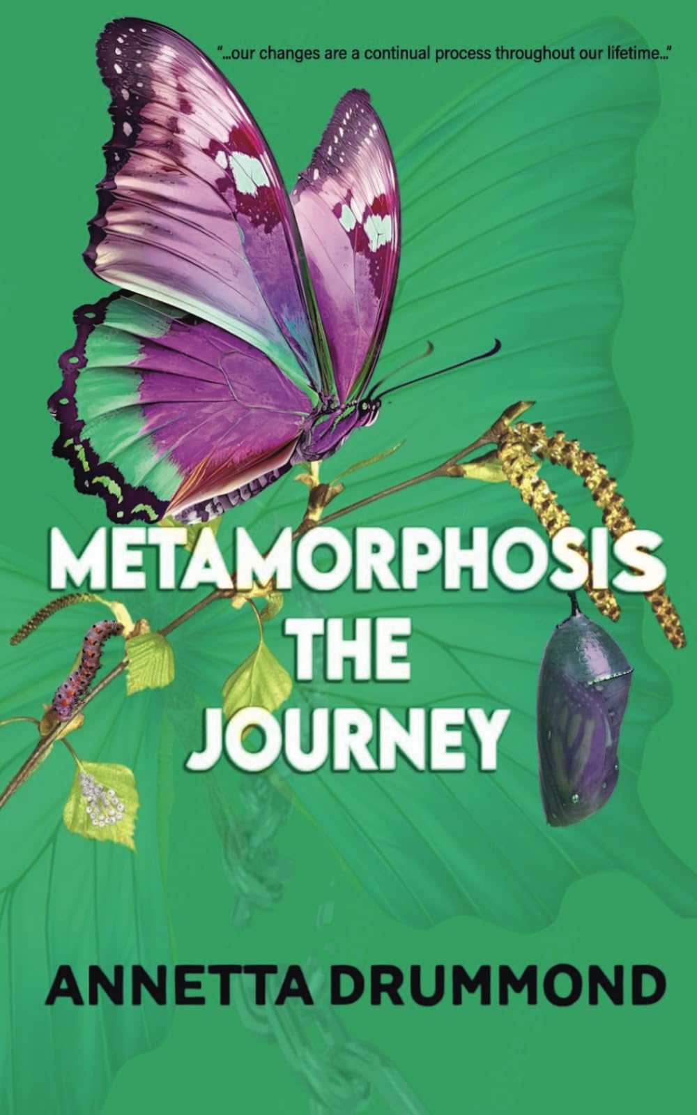 Metamorphosis: The Journey - 8648
