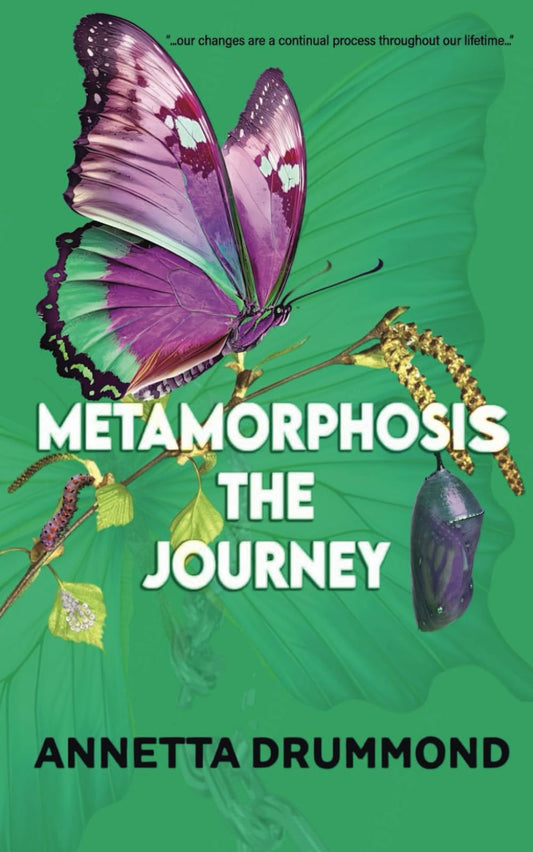 Metamorphosis: The Journey - 8648