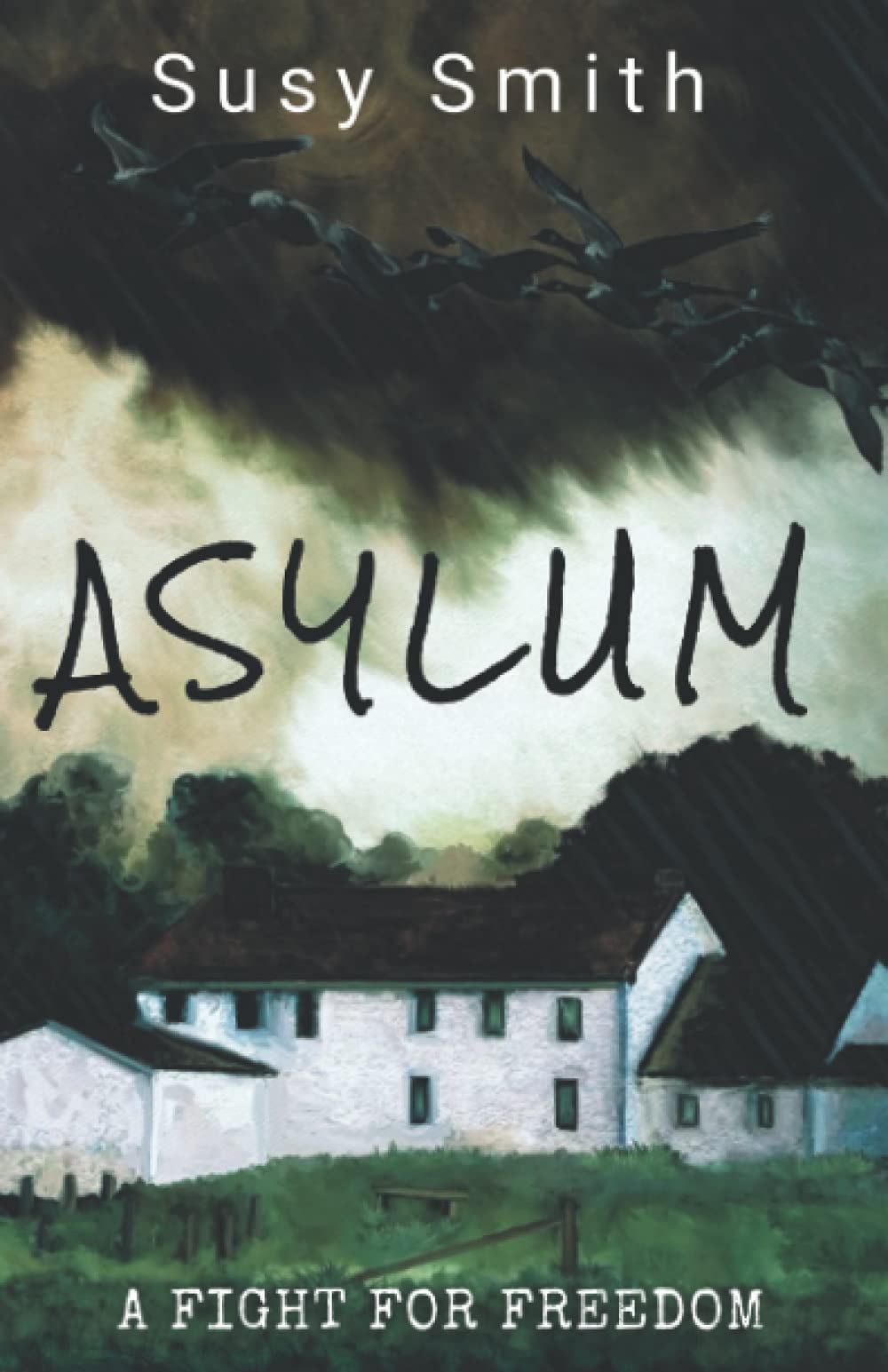 Asylum (The Asylum Series)