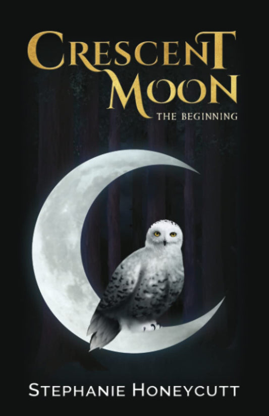 Crescent Moon: The Beginning - 7299