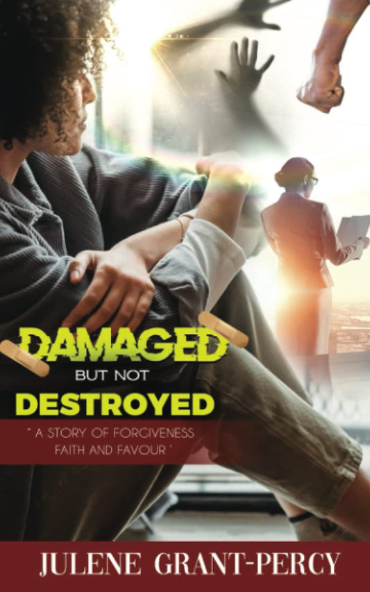 Damaged But Not Destroyed: A Story of Forgiveness, Faith, and Favour - 4697