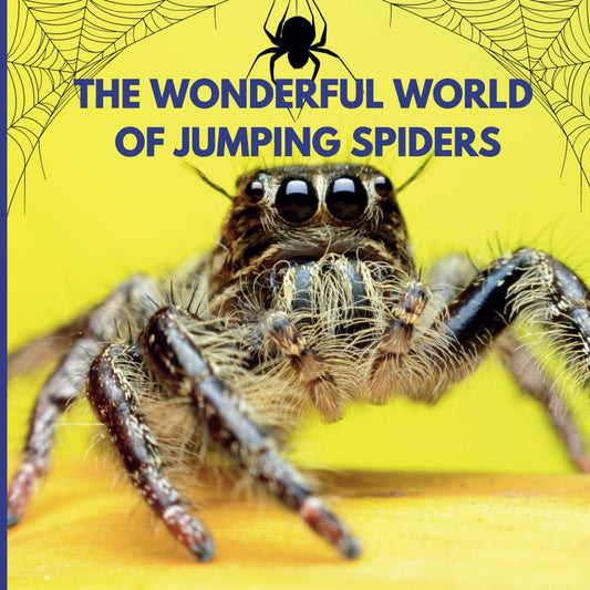 The Wonderful World of Jumping Spiders: Interesting Facts About Jumping Spiders - 355