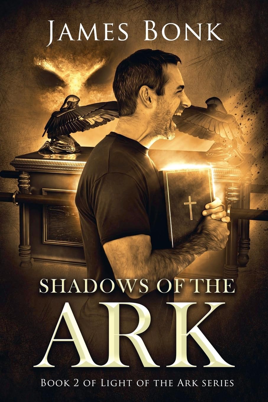 Shadows of the Ark: Book 2 of Light the Ark Series - A Christian Fiction Thriller
