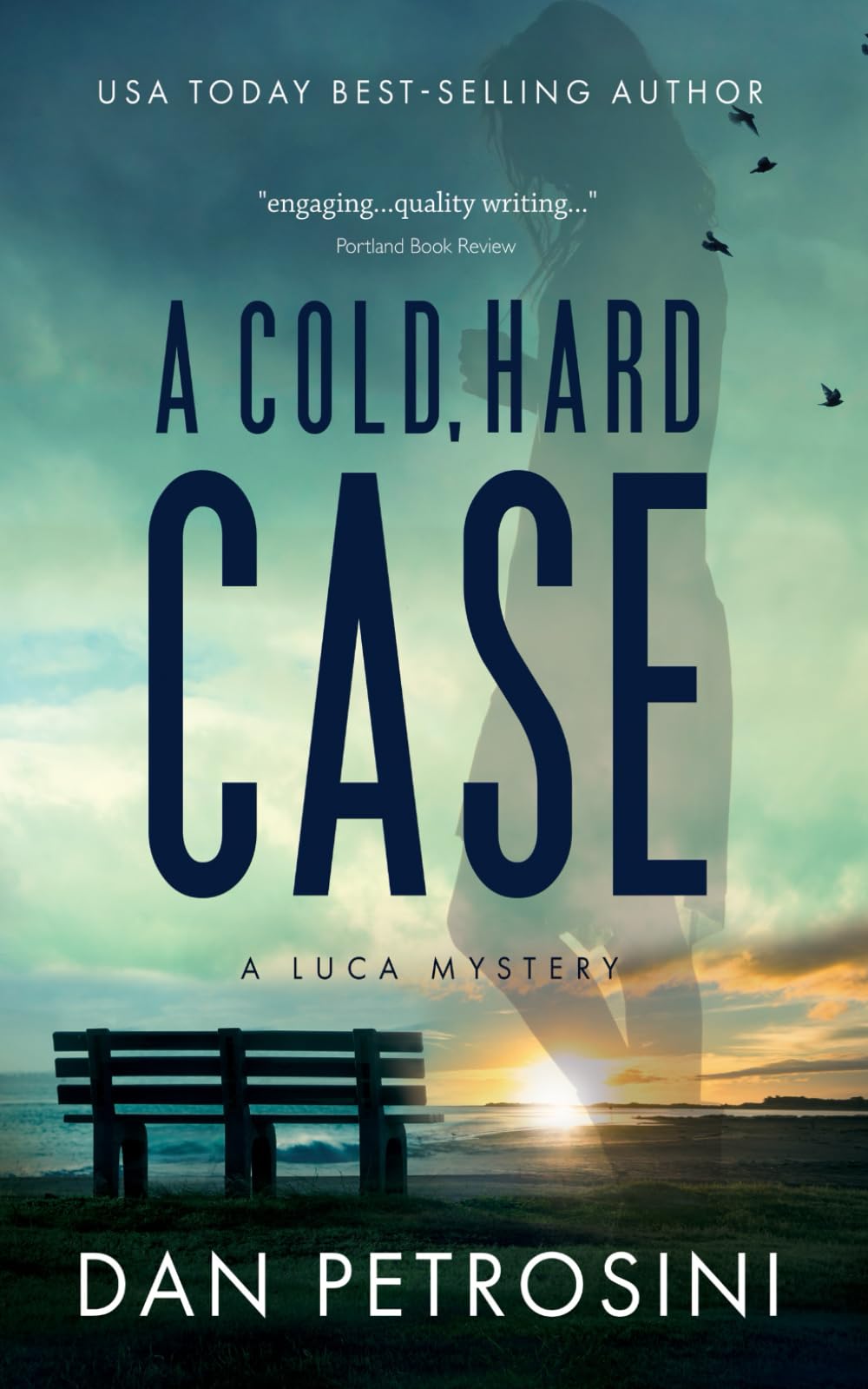 A Cold, Hard Case (A Luca Mystery)