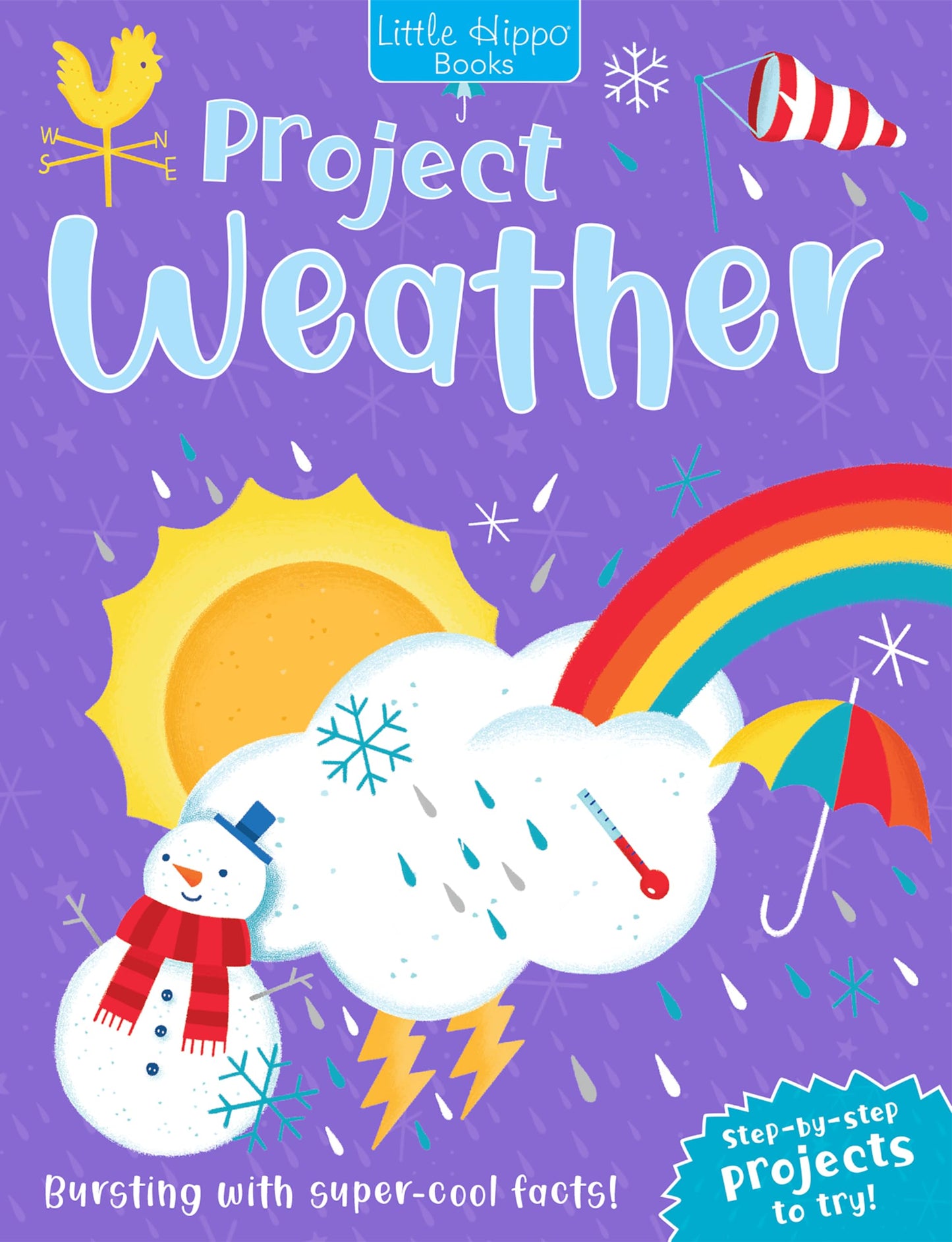 Little Hippo Books Project Weather Kid's Books | Children’s Educational Activity Books | Best Kid's Activity Books for Learning, Problem Solving, and Reading Skills