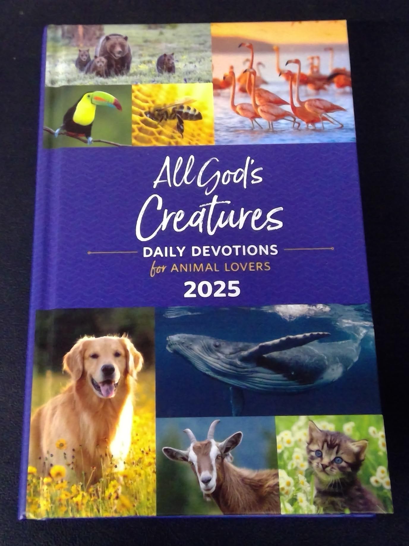 All God's Creatures