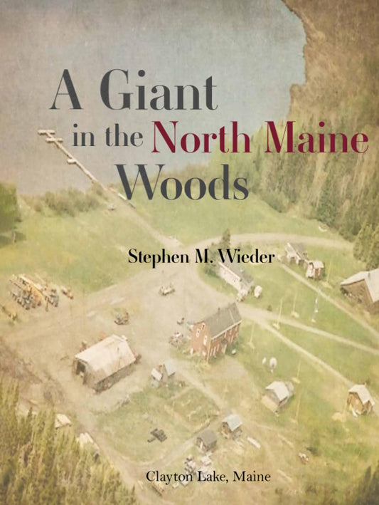 A Giant in the North Maine Woods - 6255