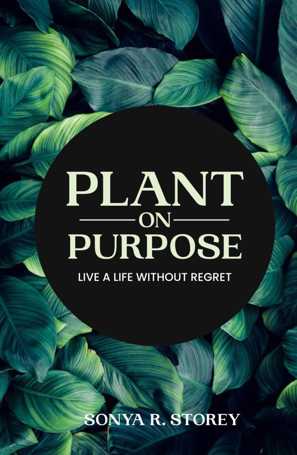 Plant on Purpose: Live a Life Without Regret - 6422