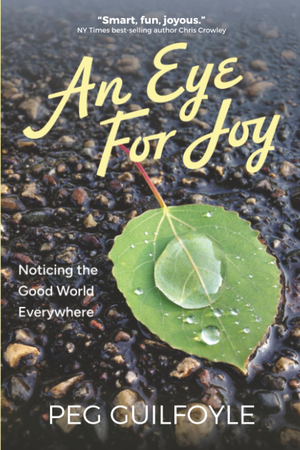 An Eye For Joy: Noticing the Good World Everywhere