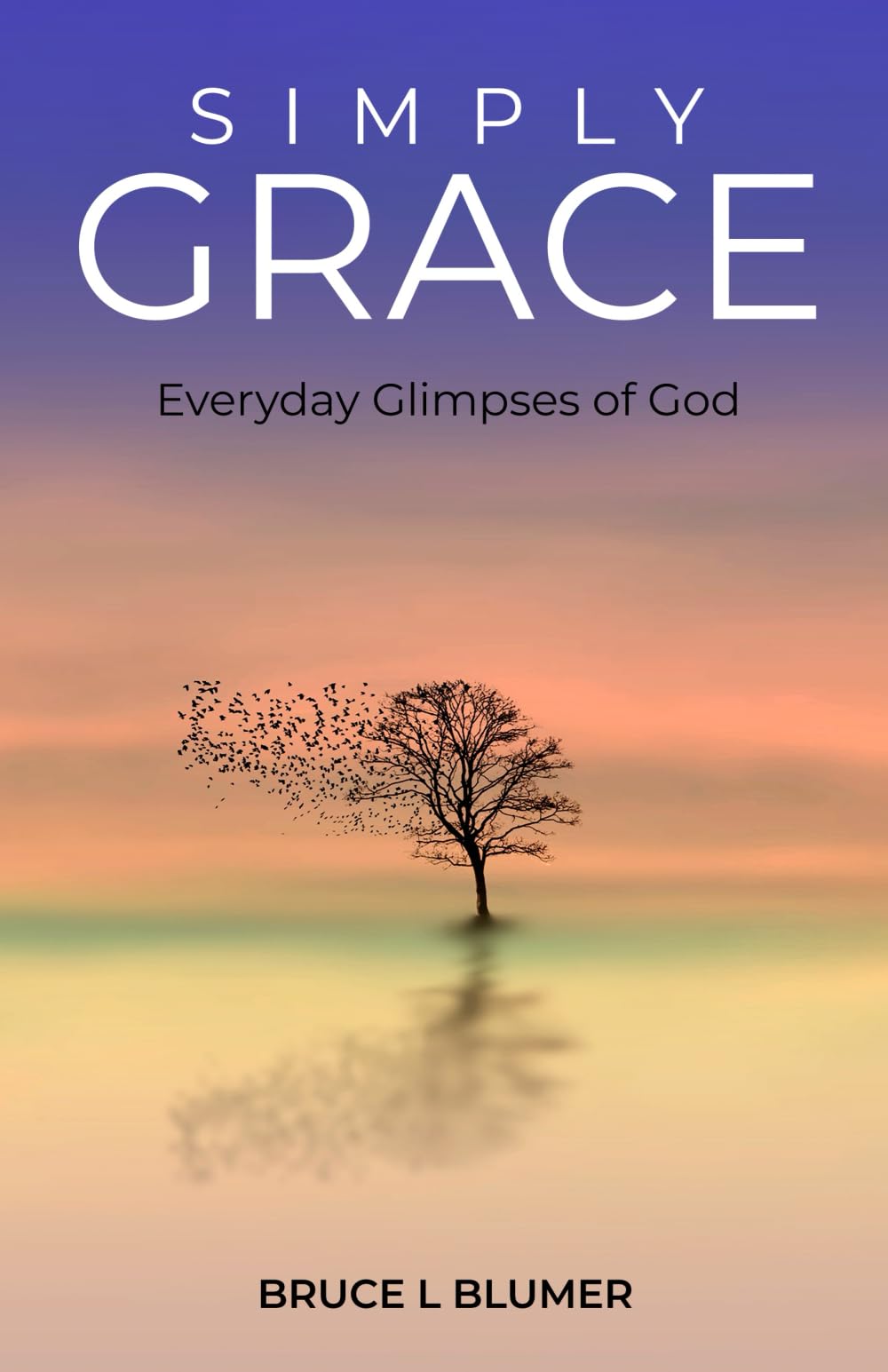 Simply Grace: Everyday Glimpses of God - 4385