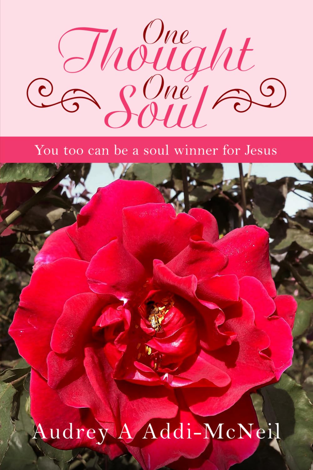 One Thought One Soul: You too can be a soul winner for Jesus