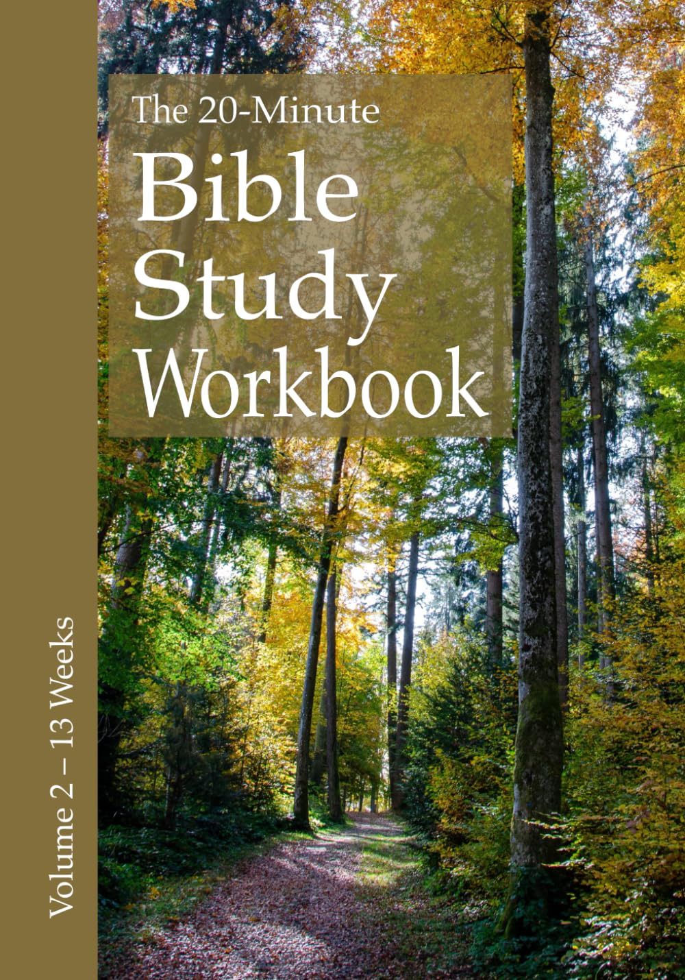 The 20-Minute Bible Study Workbook - Volume 2: Matthew, 1 Samuel, 1 & 2 Timothy, Titus, 1 Peter (The 20–Minute Bible Study Workbooks) - 535