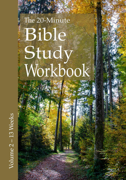 The 20-Minute Bible Study Workbook - Volume 2: Matthew, 1 Samuel, 1 & 2 Timothy, Titus, 1 Peter (The 20–Minute Bible Study Workbooks) - 535