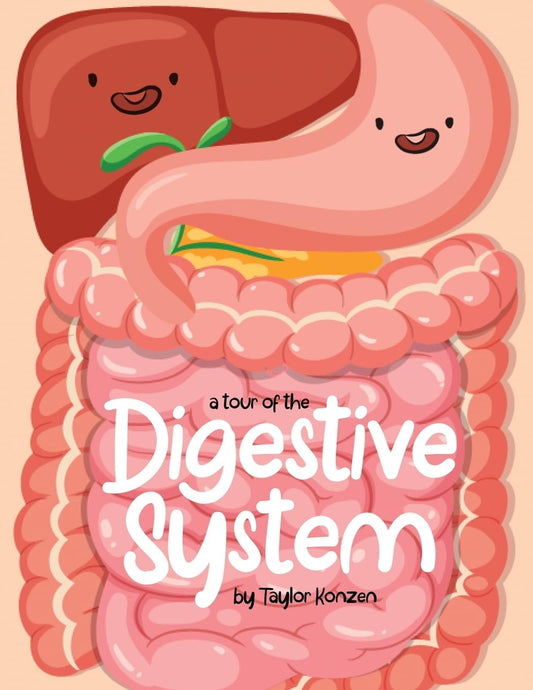 A Tour Of The Digestive System - 1435
