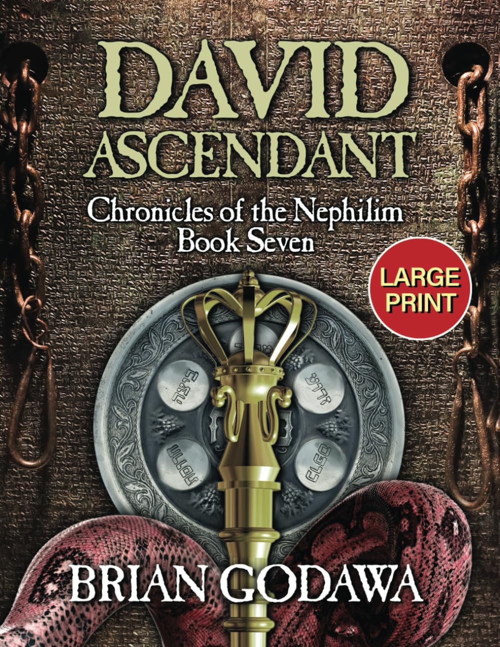 David Ascendant: LARGE PRINT