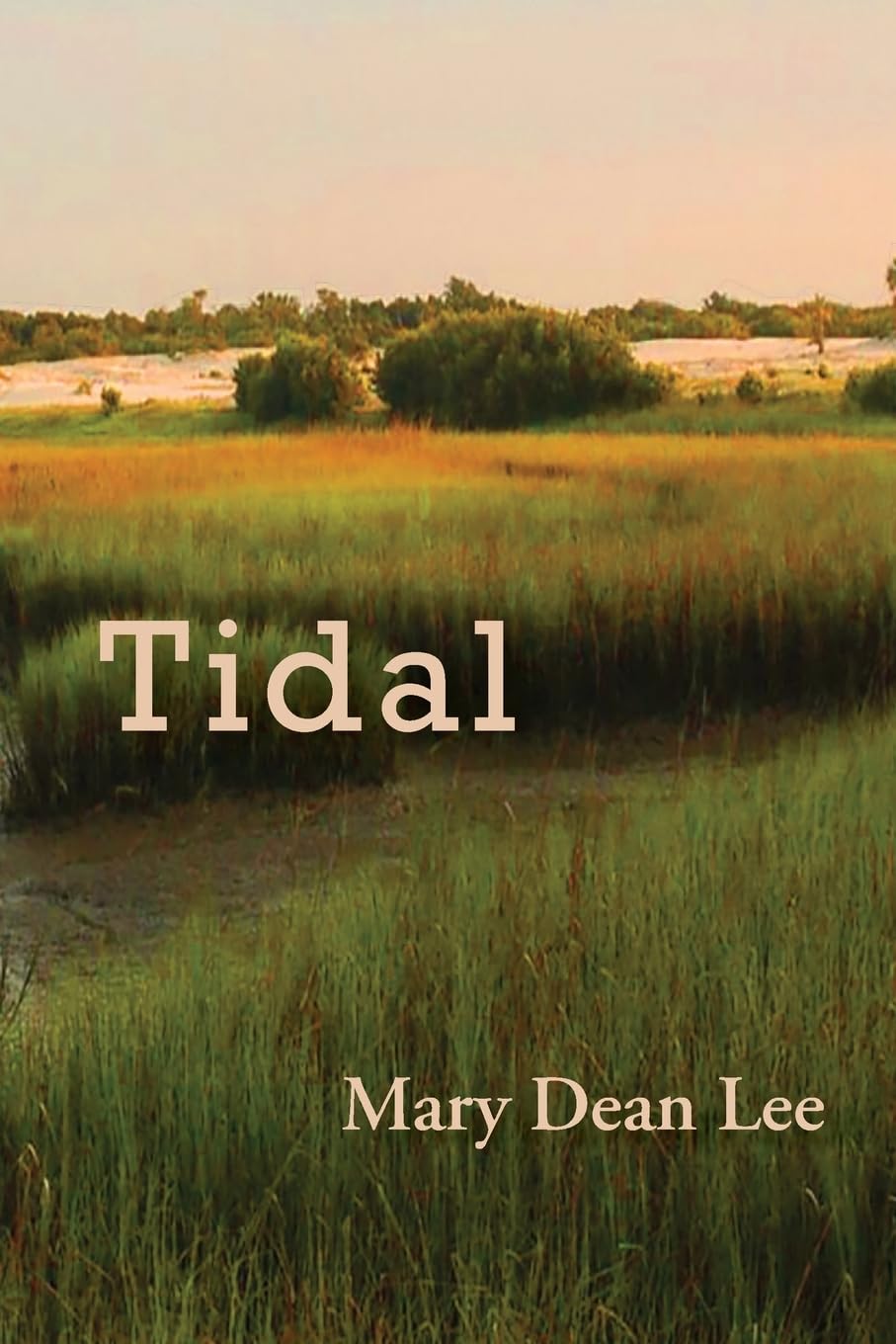 Tidal - 5523