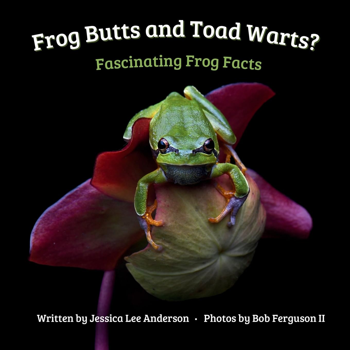 Frog Butts and Toad Warts?: Fascinating Frog Facts (Fascinature Books for Young Readers)