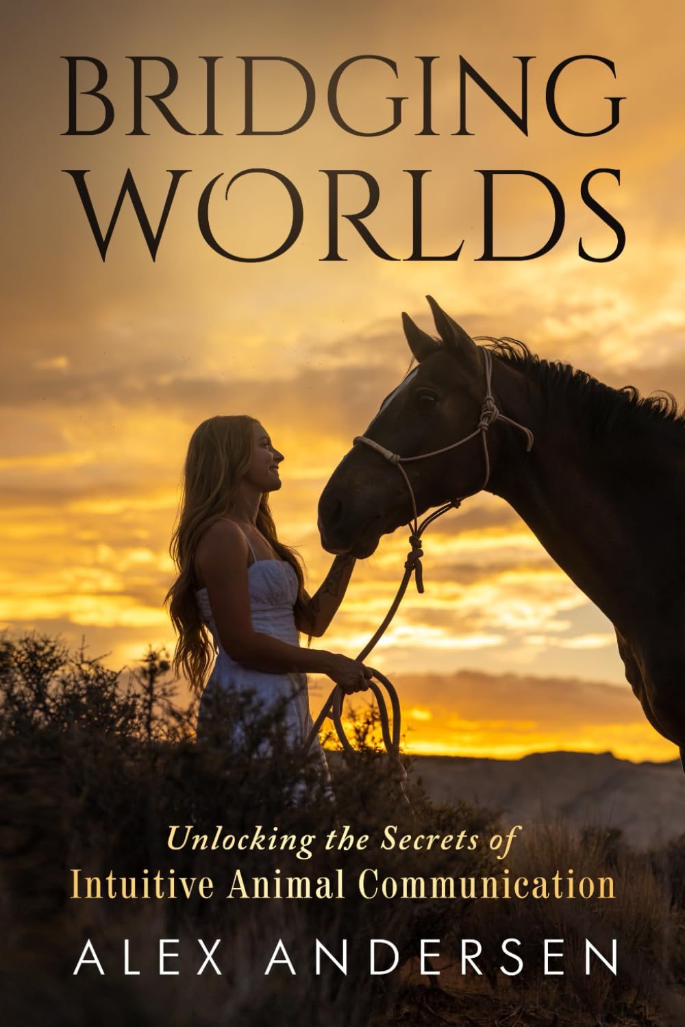 BRIDGING WORLDS: Unlocking the Secrets of Intuitive Animal Communication - 6608