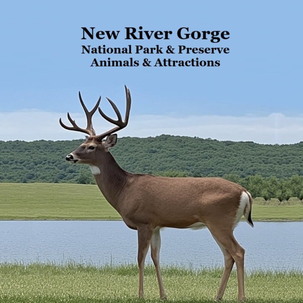 New River Gorge National Park Animals Kids Book: Great Children's Book about New River Gorge Animals and Attractions