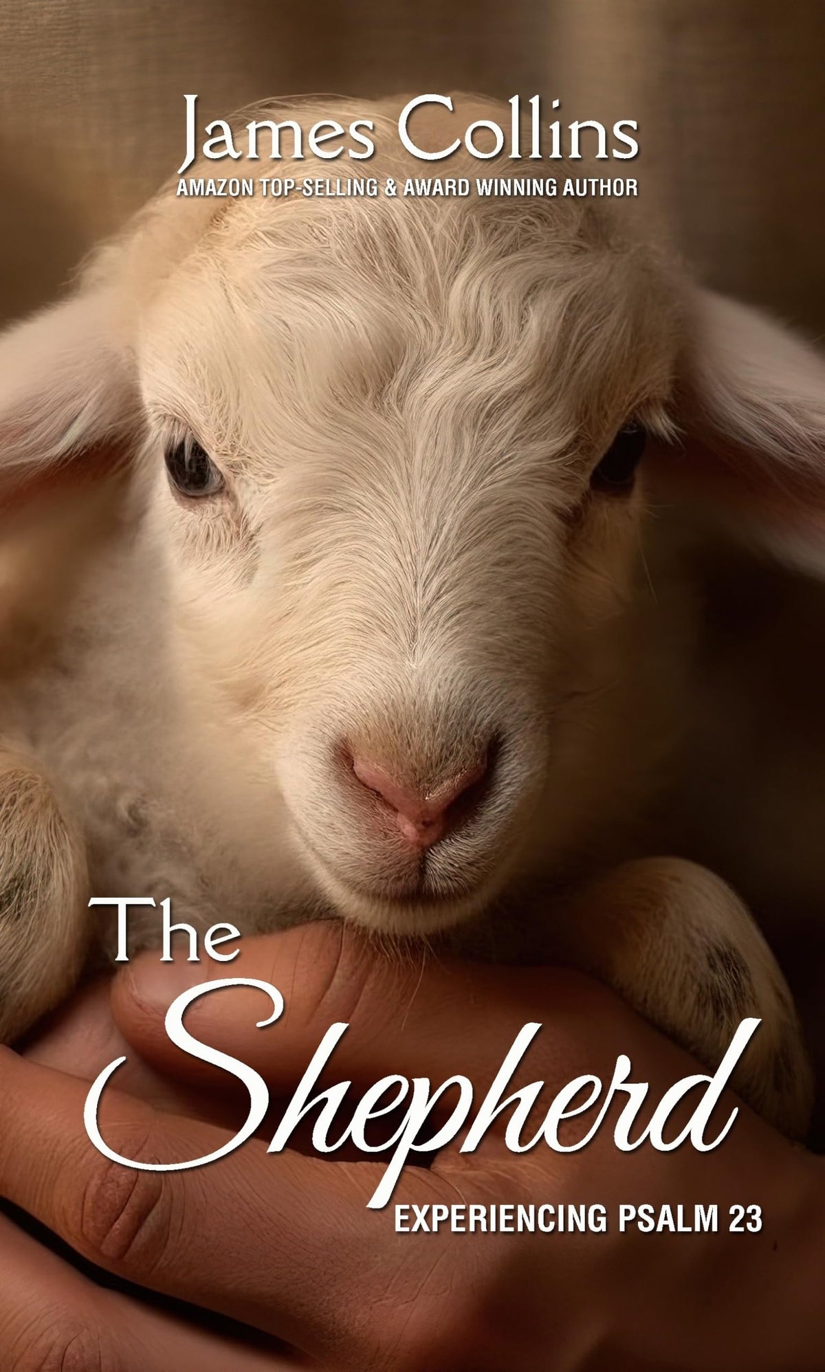 The Shepherd: Experiencing Psalm 23