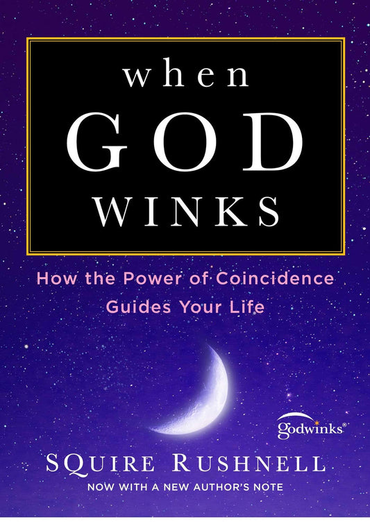 When God Winks: How the Power of Coincidence Guides Your Life (1) (The Godwink Series) - 1669