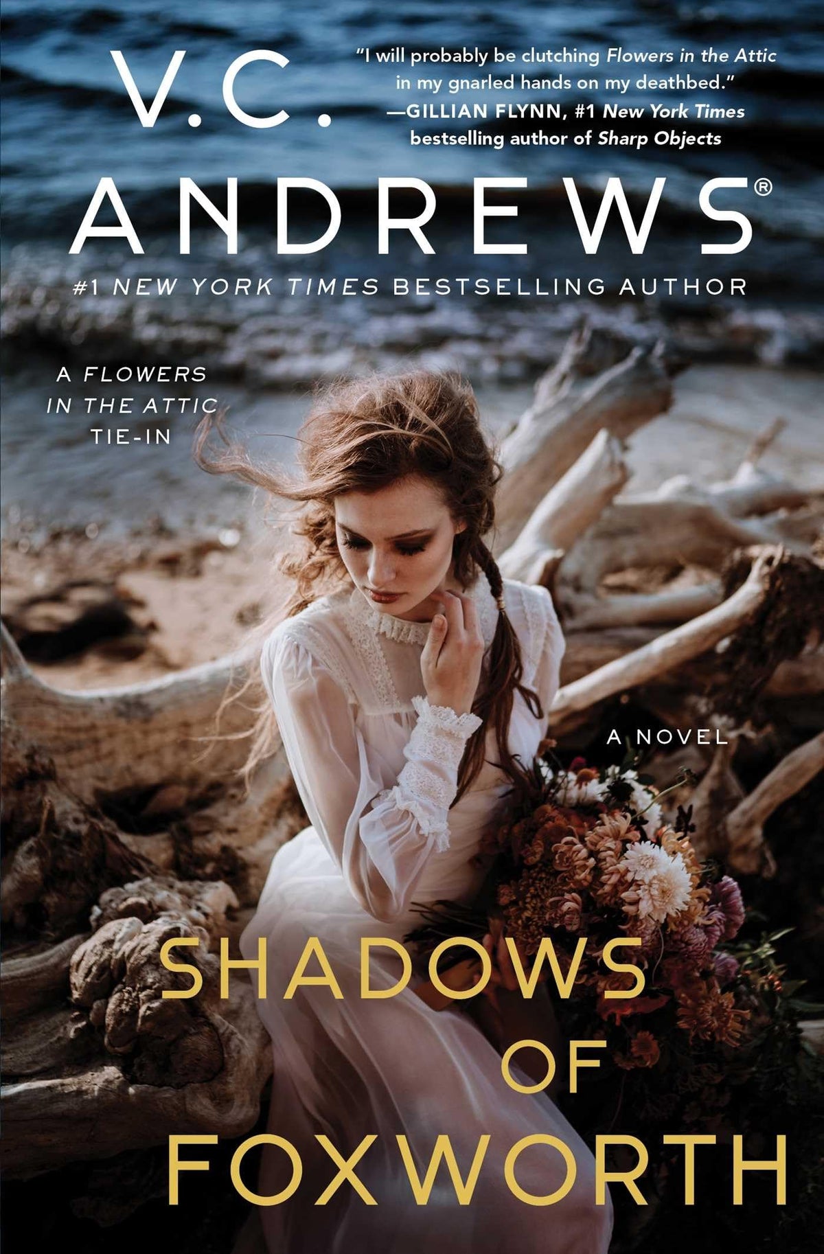 Shadows of Foxworth (Dollanganger)