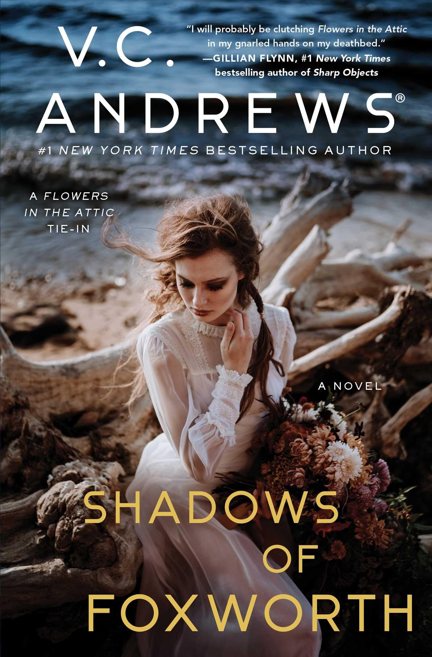 Shadows of Foxworth (11) (Dollanganger) - 5217
