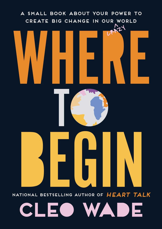 Where to Begin: A Small Book About Your Power to Create Big Change in Our Crazy World - 9386