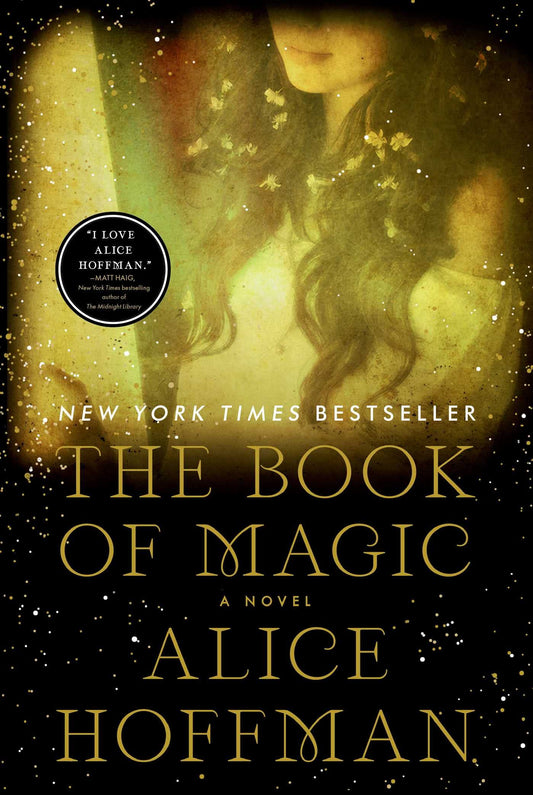 The Book of Magic (Practical Magic 2): A Novel (The Practical Magic Series)