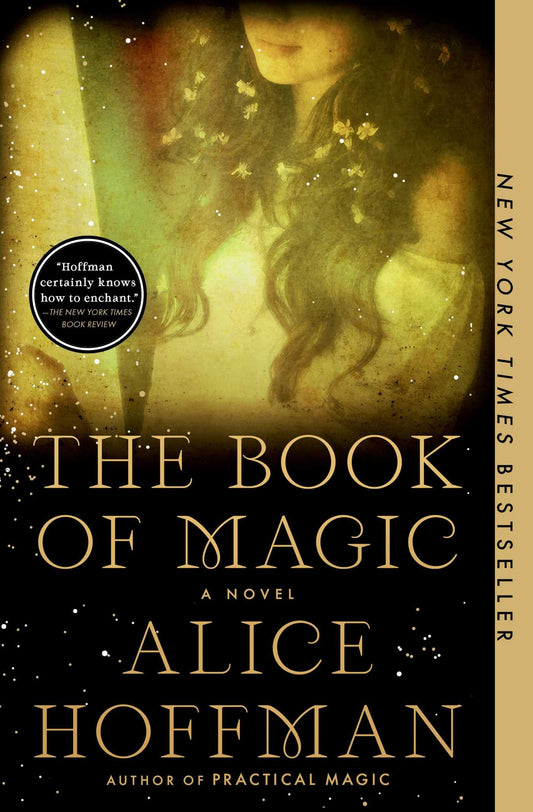 The Book of Magic (Practical Magic 2): A Novel (The Practical Magic Series)