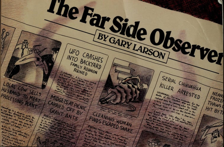 The Far side observer