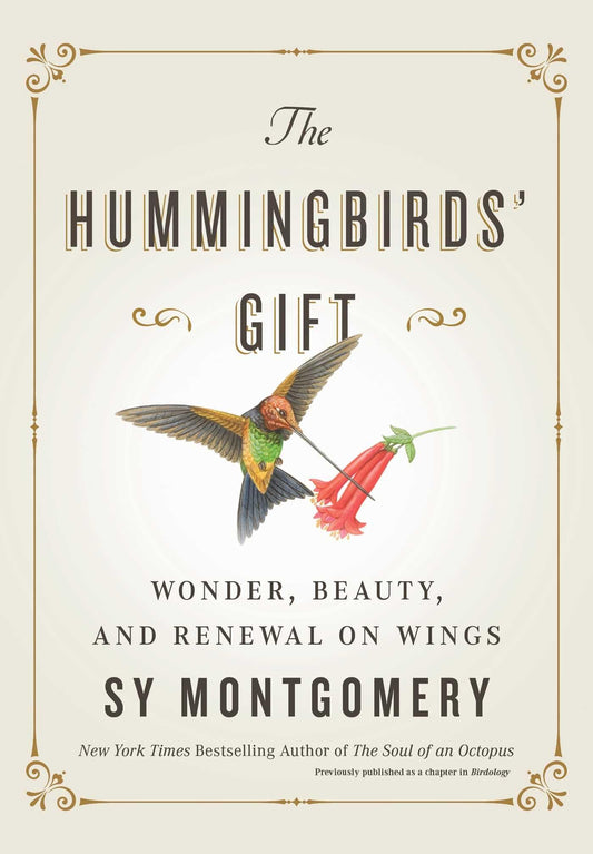 The Hummingbirds' Gift: Wonder, Beauty, and Renewal on Wings - 4341