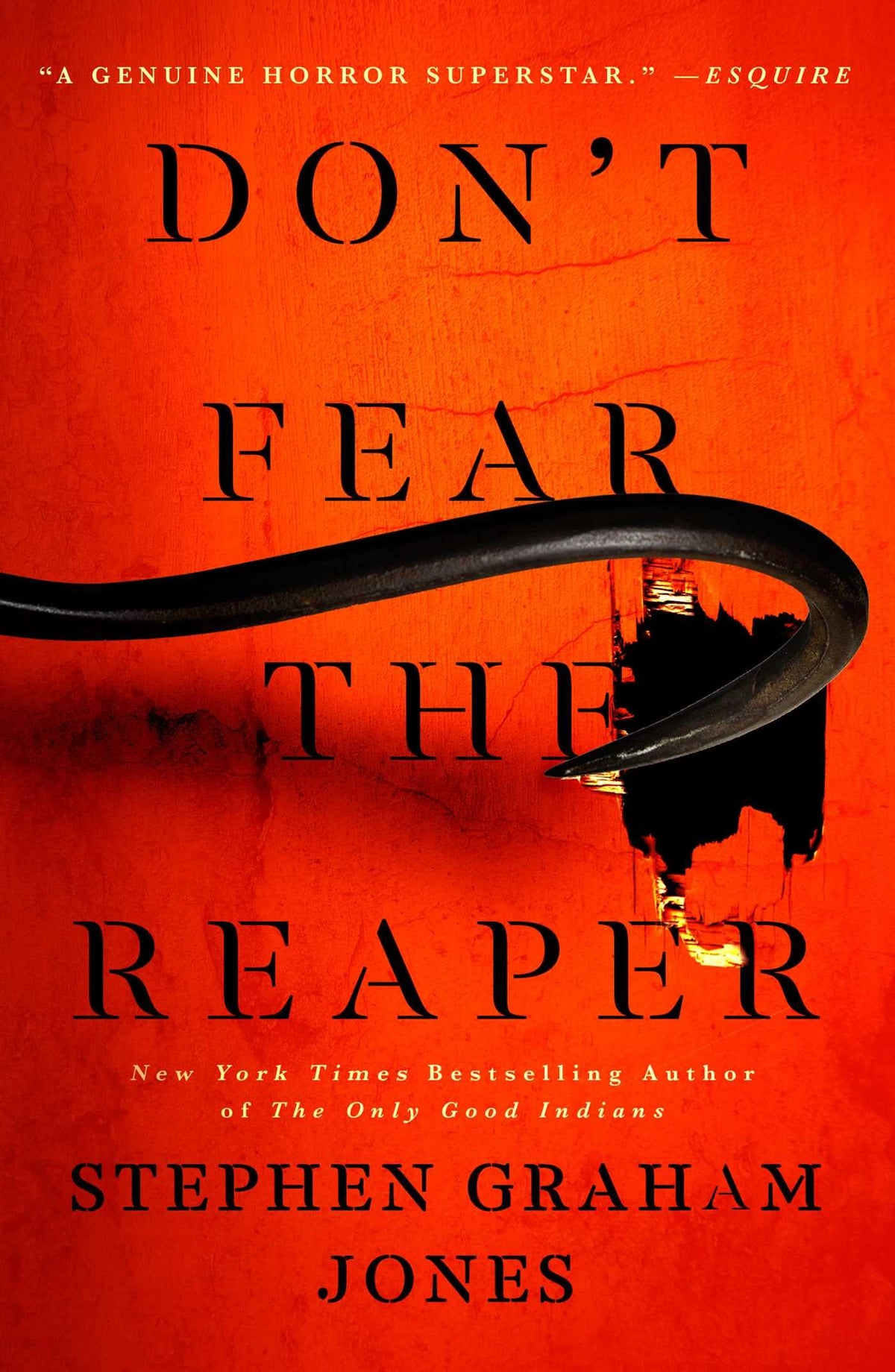 Don't Fear the Reaper (2) (The Indian Lake Trilogy)
