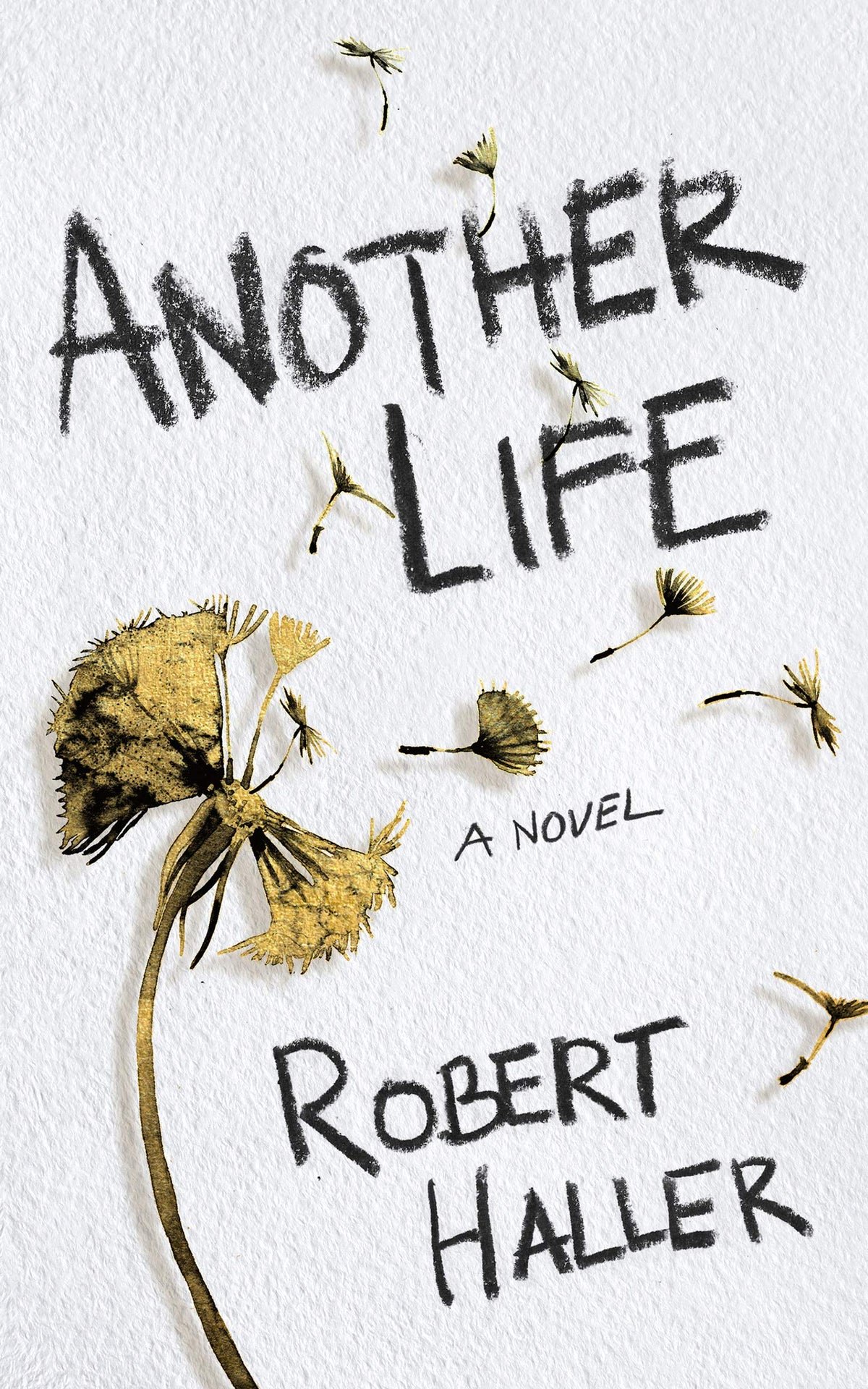 Another Life: A Novel