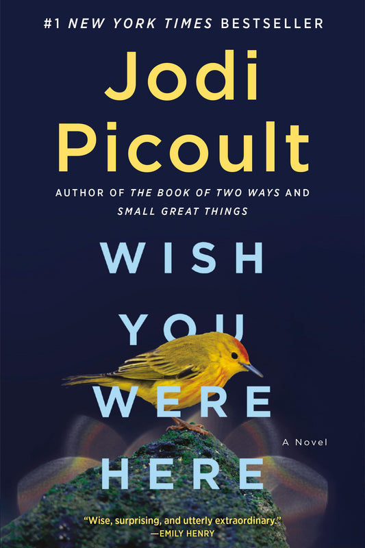 Wish You Were Here: A Novel - 6015