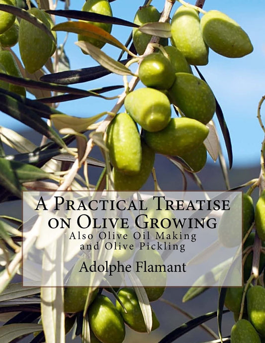 A Practical Treatise on Olive Growing: Also Olive Oil Making and Olive Pickling - 5234