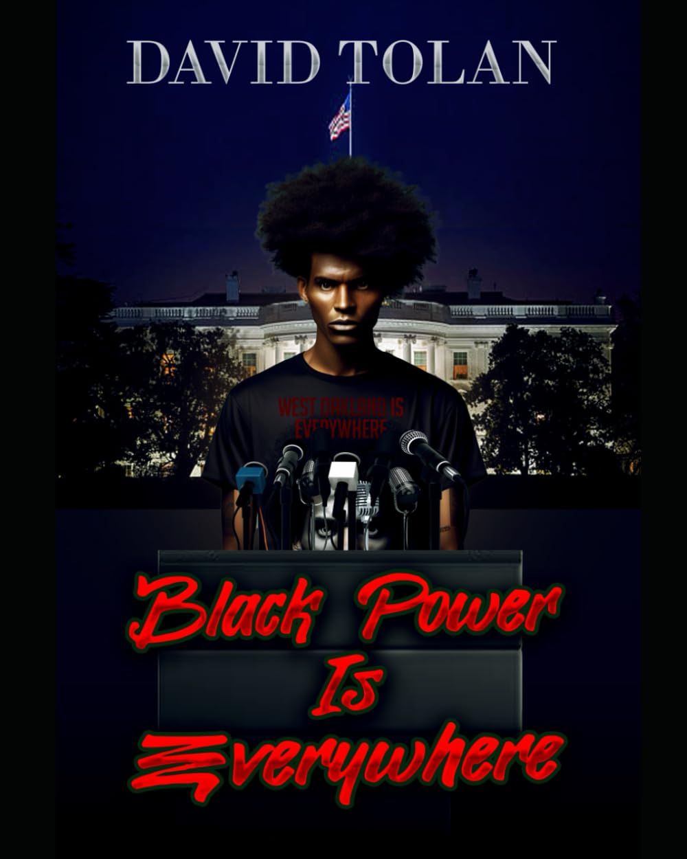 Black Power Is Everywhere: novel - 4720