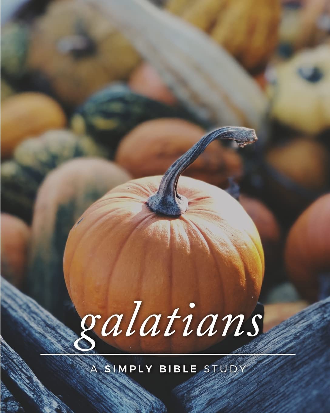 Galatians: A Simply Bible Study - 3524