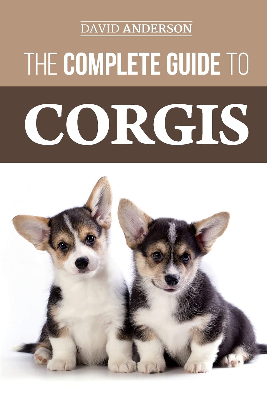 The Complete Guide to Corgis: Everything to Know About Both the Pembroke Welsh and Cardigan Welsh Corgi Dog Breeds