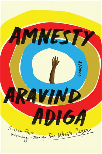 Amnesty: a novel