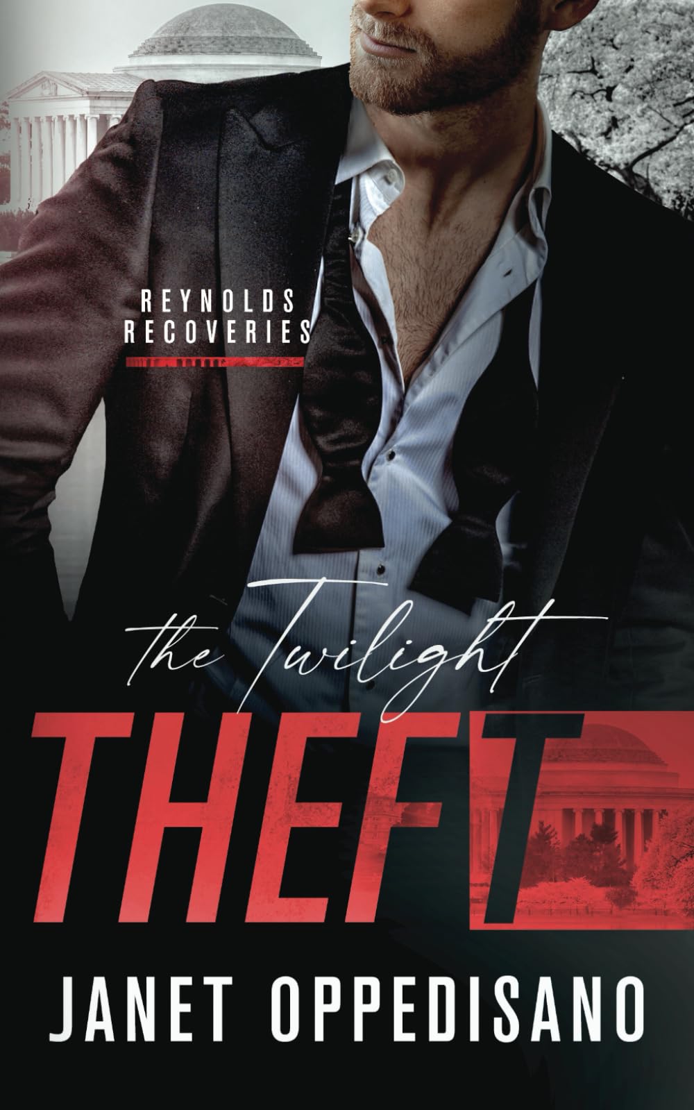 The Twilight Theft (Reynolds Recoveries)