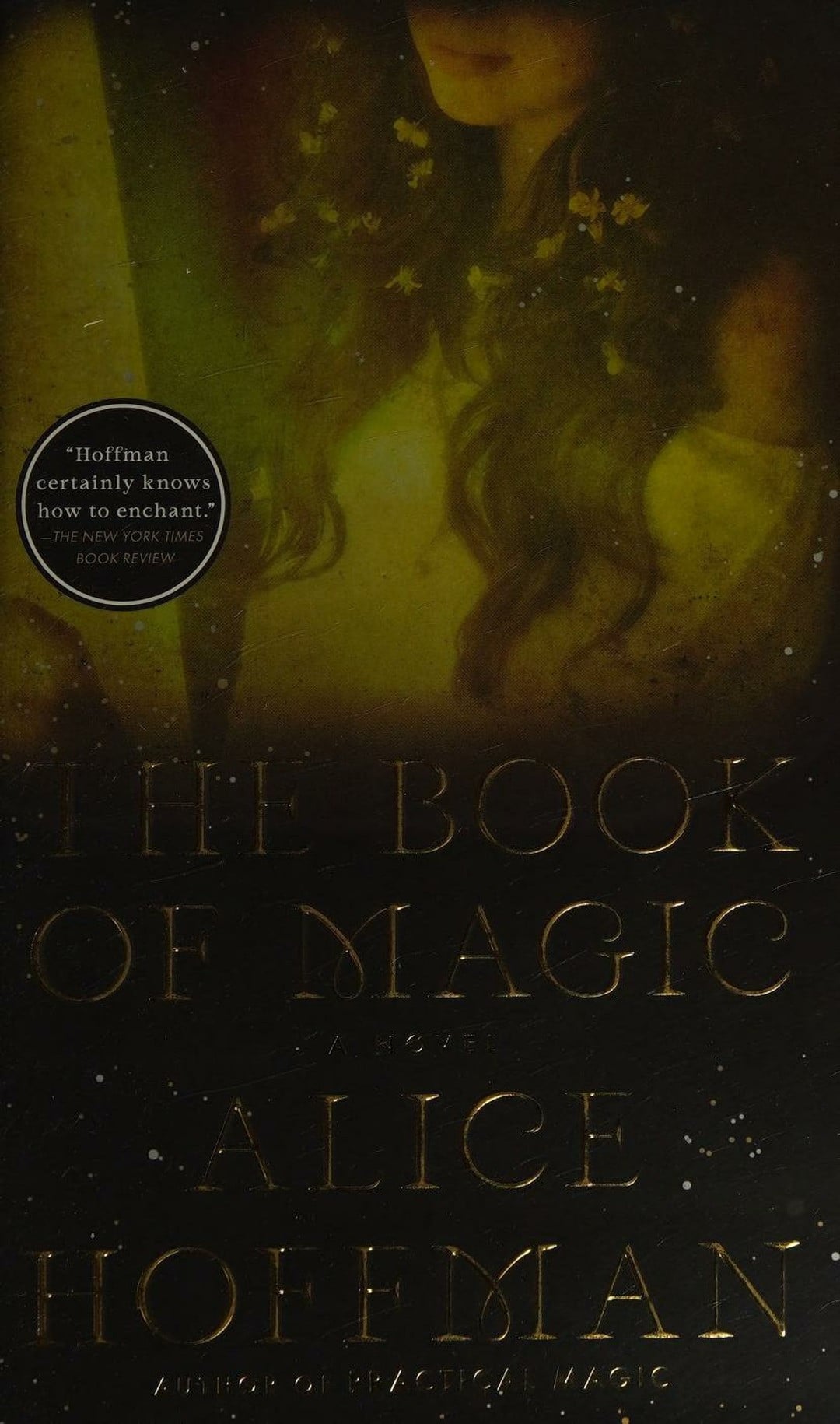 The Book of Magic (Practical Magic 2) A Novel
