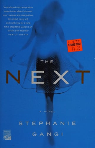 The next: a novel