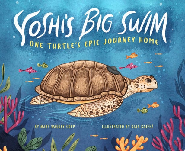 Yoshi's Big Swim One Turtle's Epic Journey Home