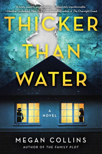 Thicker than water: a novel