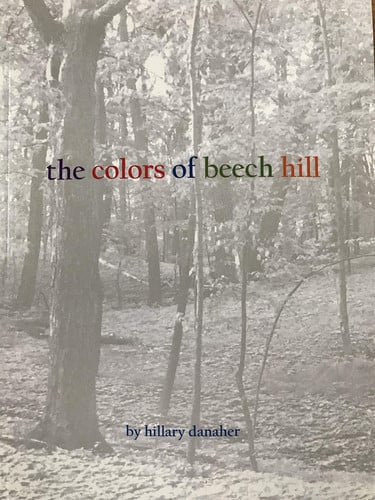 The Colors of Beech Hill