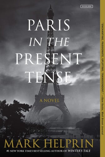 Paris in the present tense: a novel