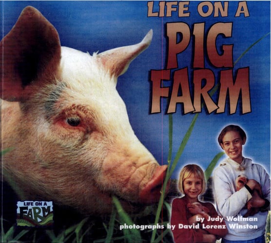 Life on a Pig Farm